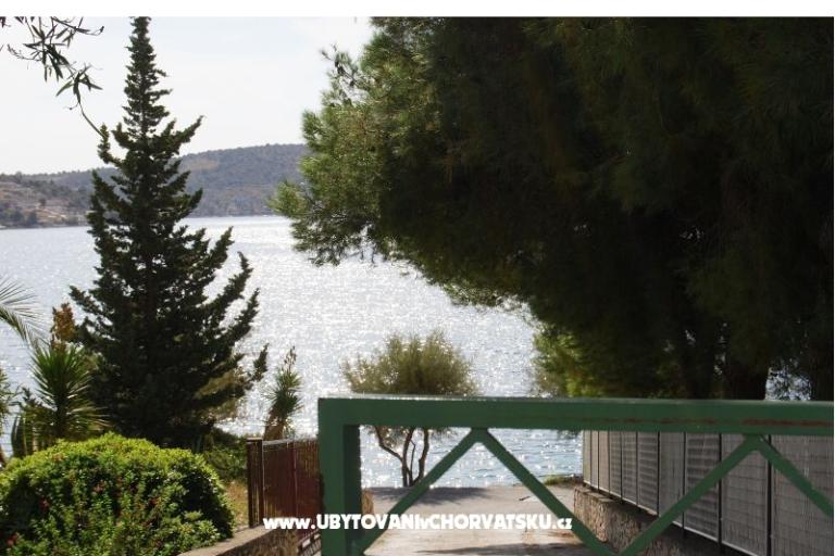  7 maslina – foto 14