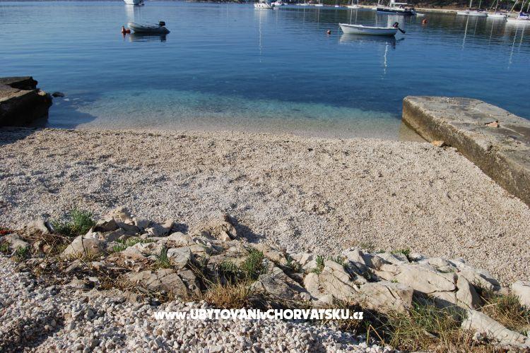  7 maslina – foto 8