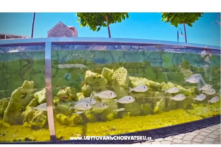 Apartmán Amfora – foto 16