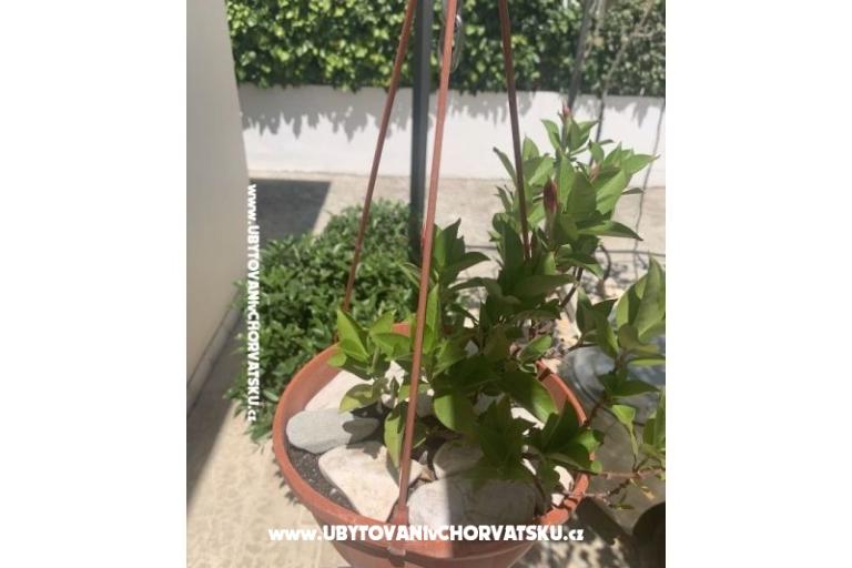 Apartmán Odmor – foto 14