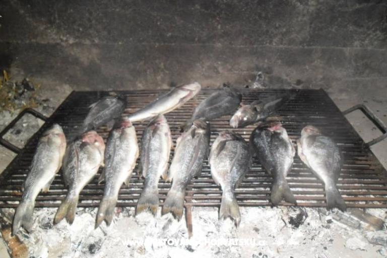 Vila Patria – foto 17