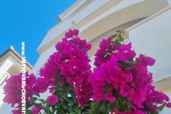 Apartmány Ana – foto 9