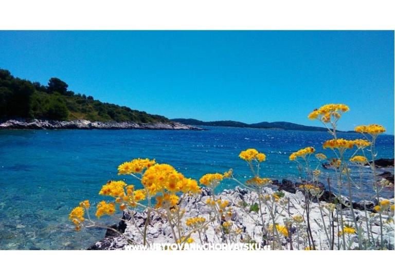 Apartmány Anna – foto 16