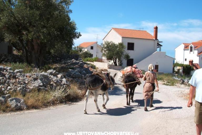 Apartmány Bačić – foto 17