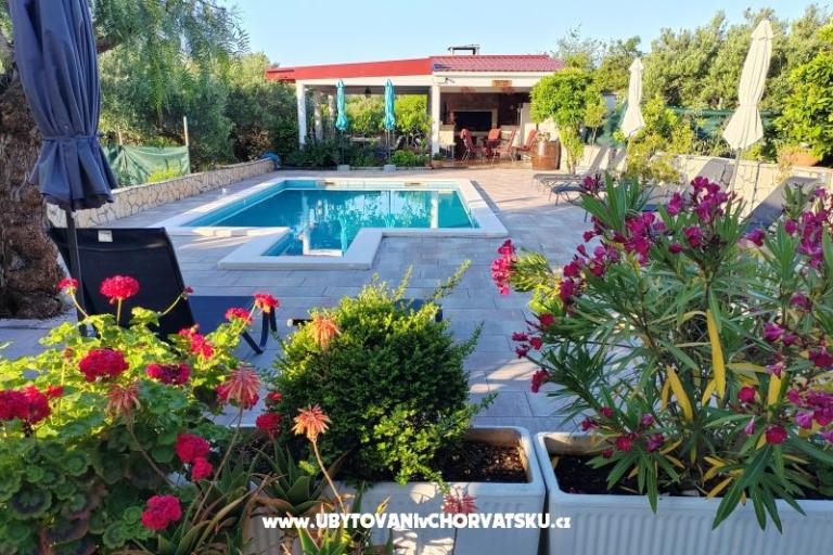 Villa Stella – foto 5