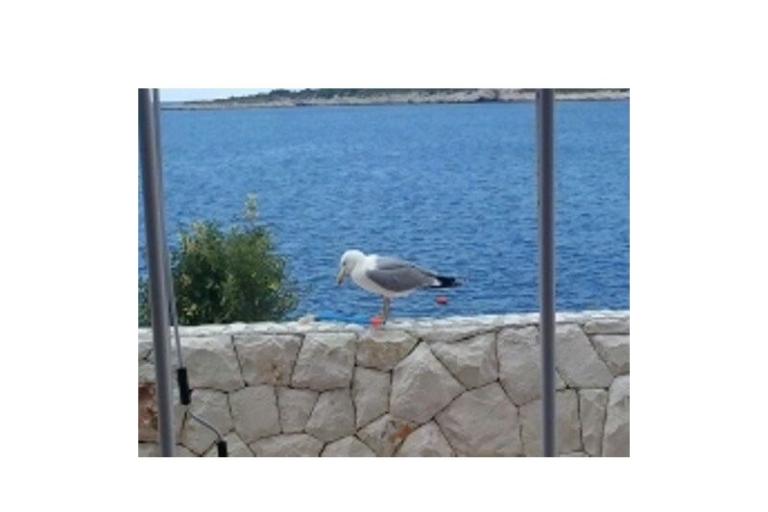 Apartmány Nika – foto 18