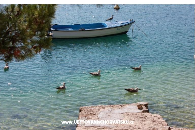 Apartmány Leon – foto 15