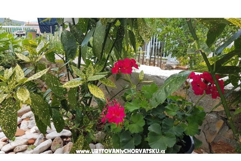 Apartmány Mijo – foto 12