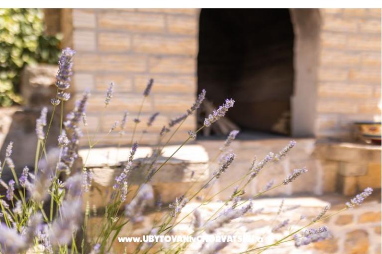 Kamene kuće Nikola – foto 37