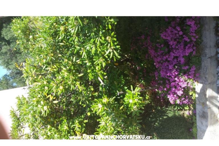 Apartmány Perak – foto 10