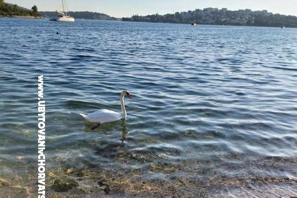 Apartmány Crnjac – foto 5