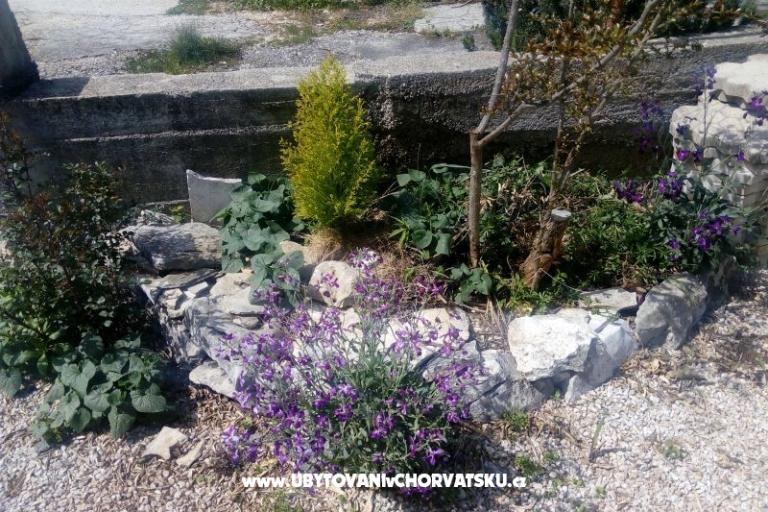 Apartmány Ercegovic – foto 4