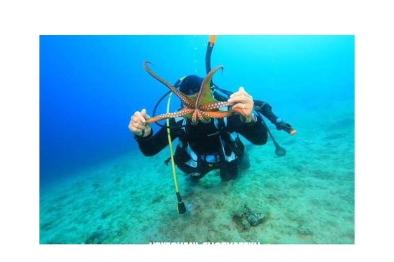 Apartmány Slivka – foto 24