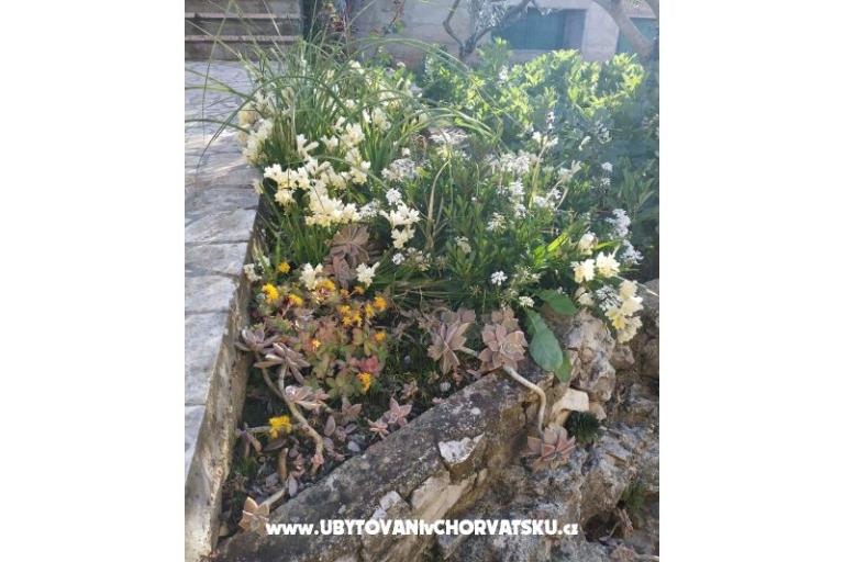 Apartmán Jase – foto 8