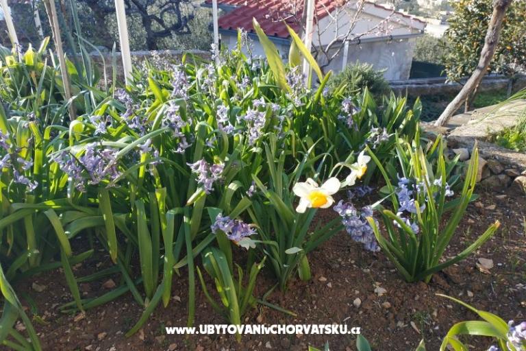 Apartmán Jase – foto 9