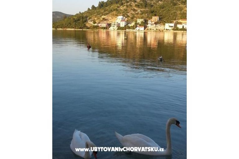 Apartmány Captain`s house – foto 18