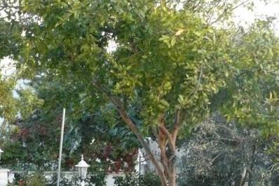 Apartmány Milica – foto 5