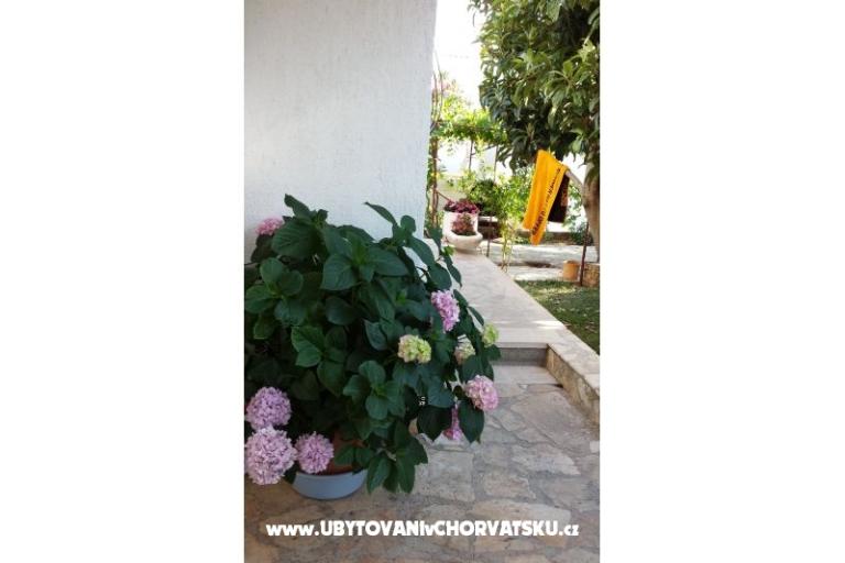 Apartmány Ursula – foto 14