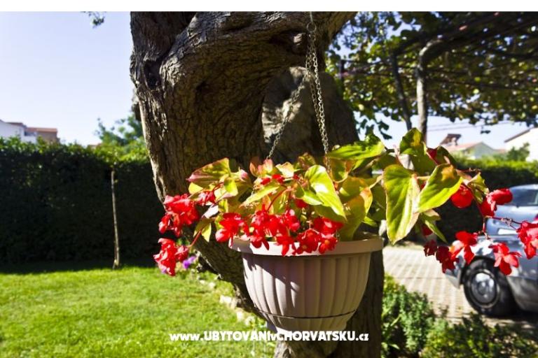 Appartments Viktor – foto 10