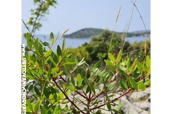 Holiday Apartmány Lucic – foto 100