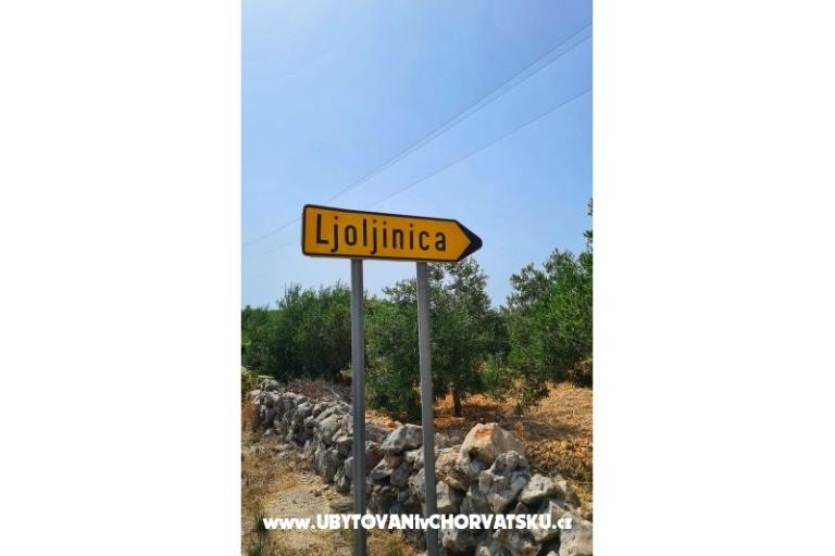 Holiday Apartmány Lucic – foto 103