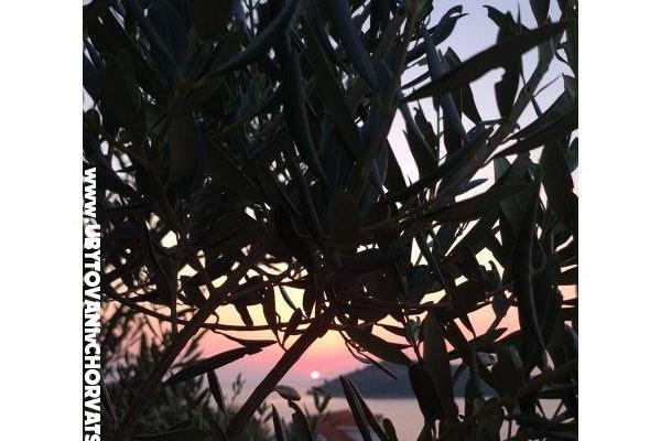 Holiday Apartmány Lucic – foto 105