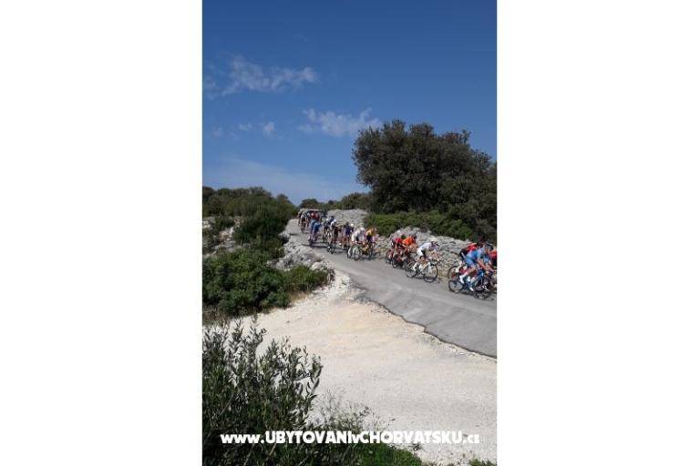 Dům Zvonimir – foto 15