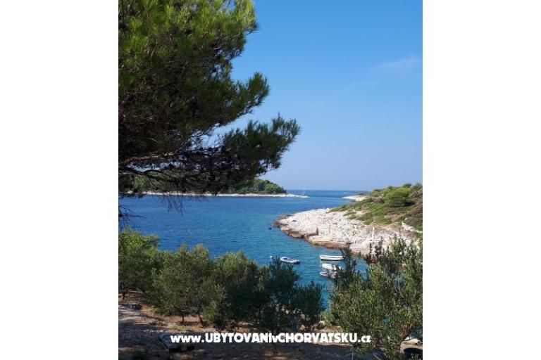 Dům Zvonimir – foto 6