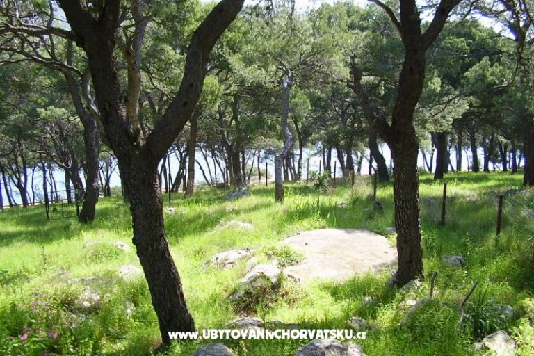 Dům k odpočinku Stari mlin – foto 12