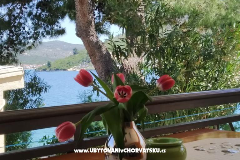 Dům k odpočinku Milenka – foto 3