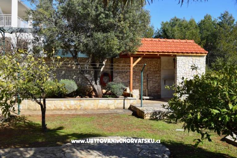 Oliva Ražanj – foto 3