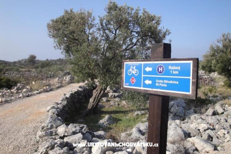 Apartmány Skelin – foto 16