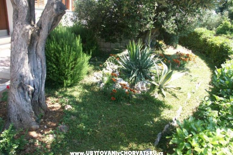 Santa Chiara Apartmány – foto 5