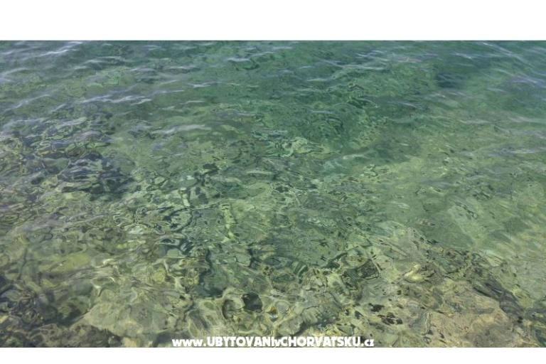 Vera Apartmán – foto 15