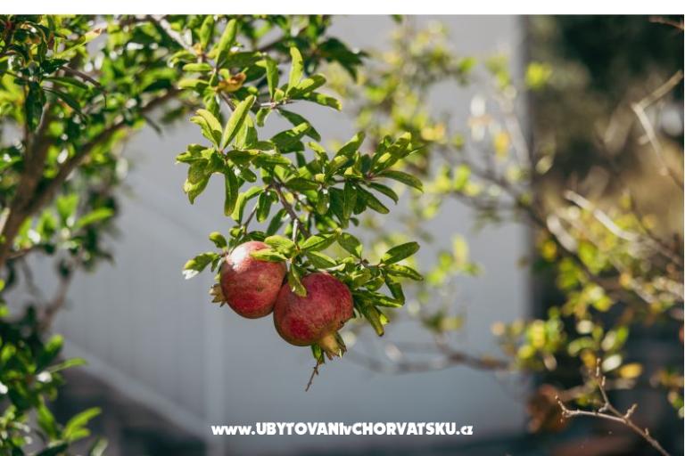 Apartmány Vidović – foto 4