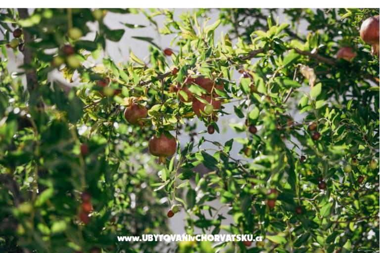 Apartmány Vidović – foto 5