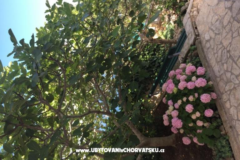 Vinka apartments DIREKT NA PLAŽI – foto 12