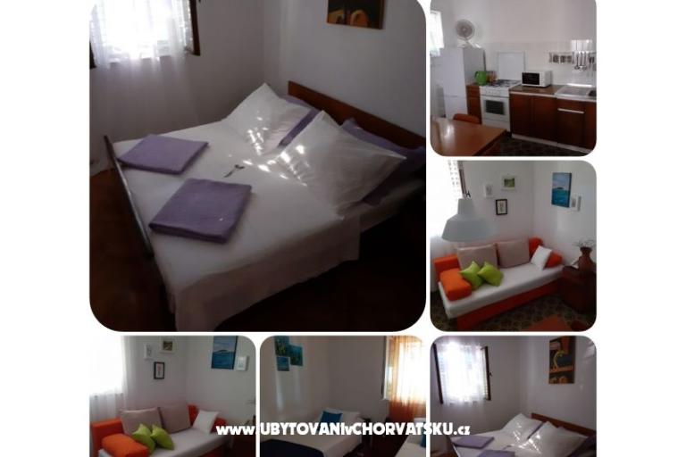 VIVA Lozica – foto 5