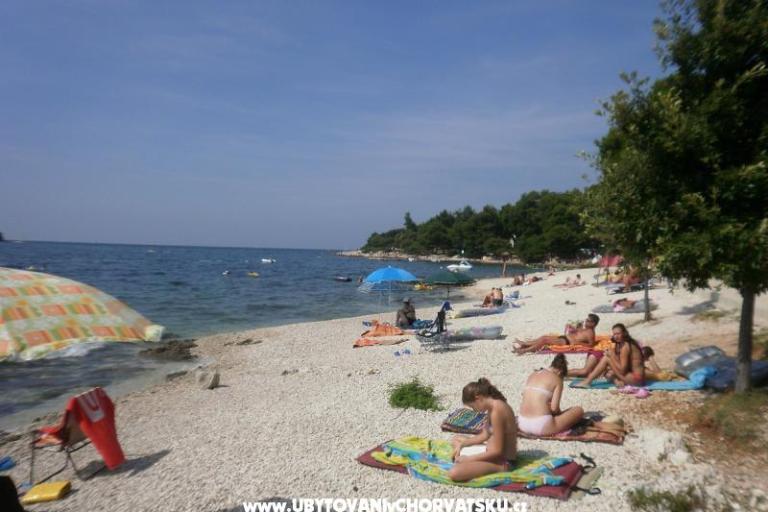 Apartmány Ana – foto 16