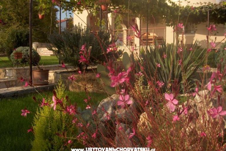 Apartmány Fantazija – foto 14