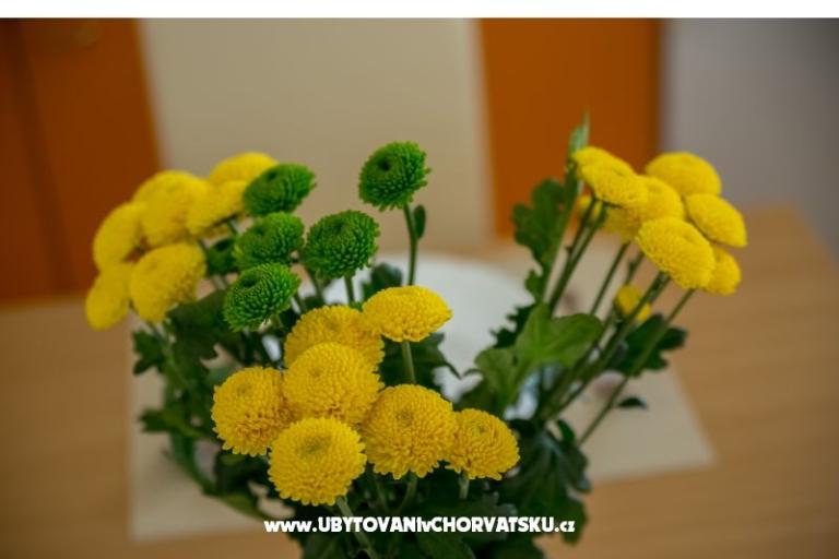 Apartmány Nada – foto 15