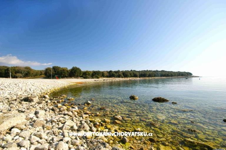 Apartmány Centar Bale – foto 7