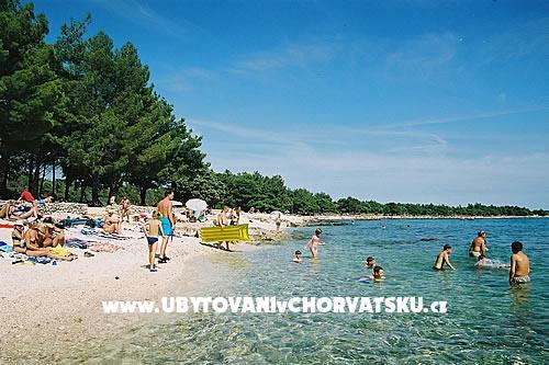 Family Dům Ivancevic – foto 5