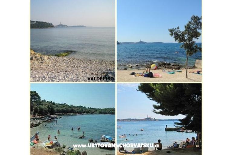 GREEN GARDEN &amp; BUENA VISTA  – foto 13