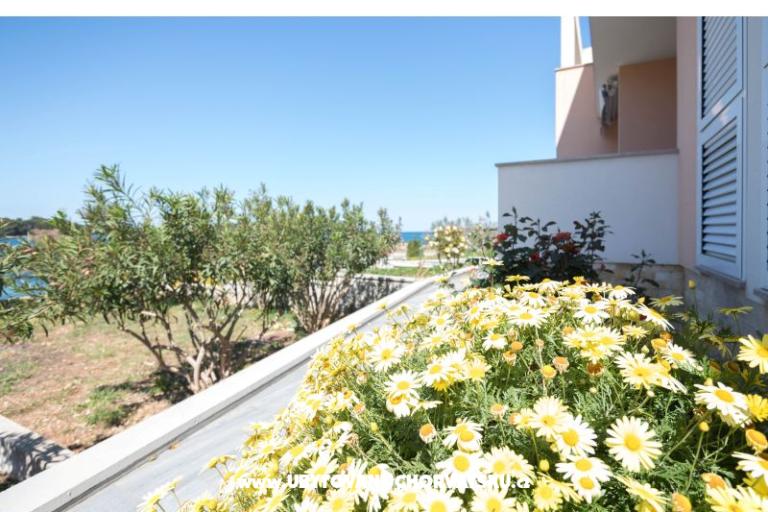 Apartmány Carić – foto 6
