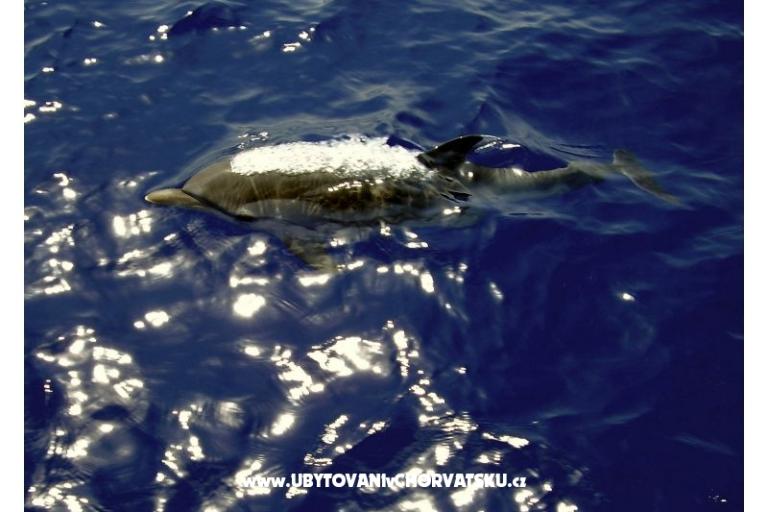 Apartmány Lavdara – foto 10