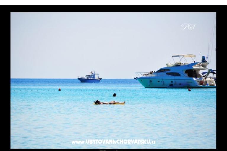 Apartmány  Zaglav Dugi otok  – foto 12