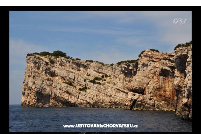 Apartmány  Zaglav Dugi otok  – foto 15