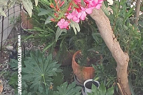 1918 Apartmán centar Šibenik – foto 3