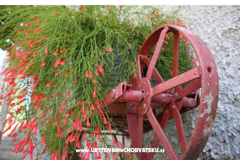 Apartmán Nina – foto 6